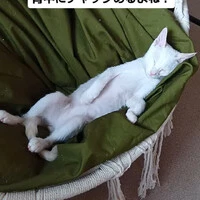 画像1542