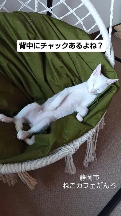画像1542
