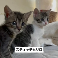 画像1546
