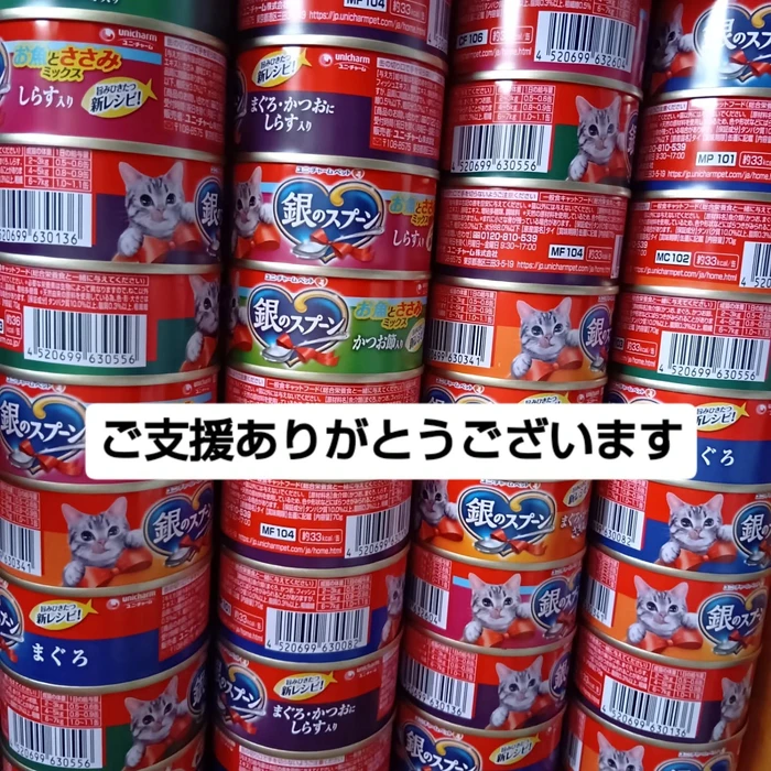 画像1549