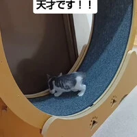 画像1555