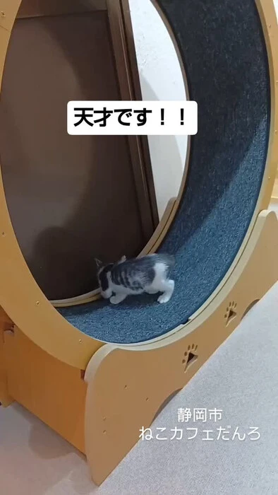 画像1555