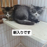 画像1557