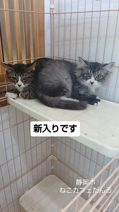 画像1557