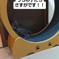 画像1559