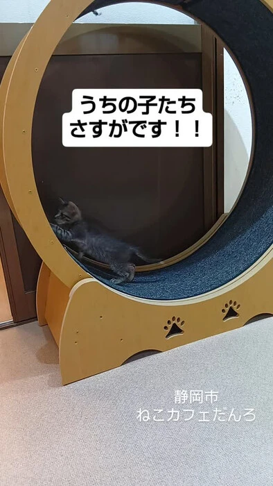 画像1559