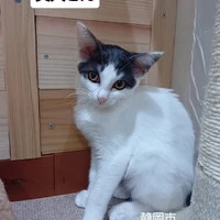 画像1561