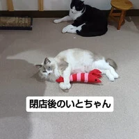画像1563