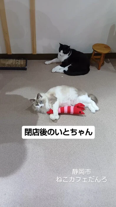 画像1563