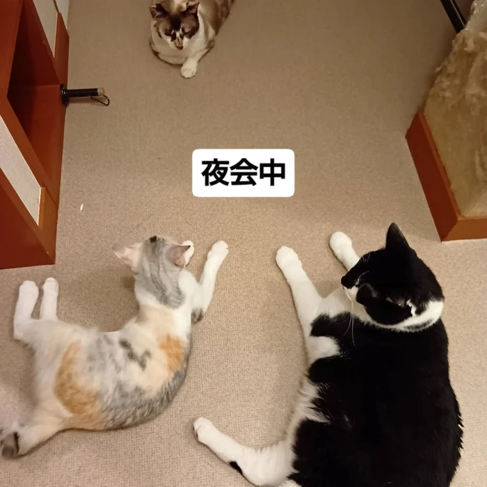 画像1568