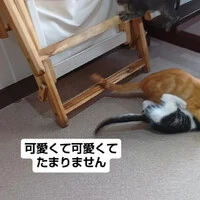 画像1570