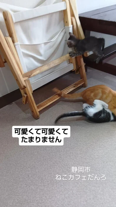 画像1570