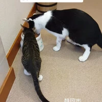 画像1574