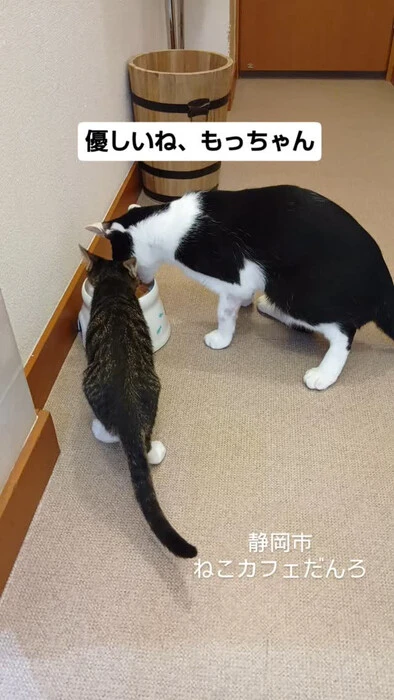 画像1574