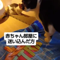 画像1578