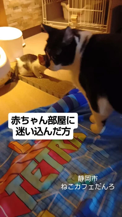 画像1578