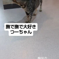 画像1584