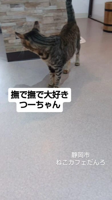 画像1584
