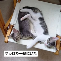 画像1588