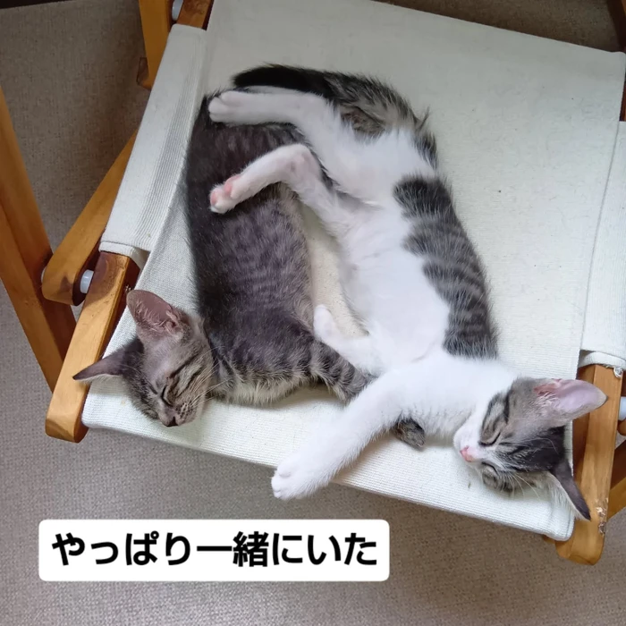 画像1588