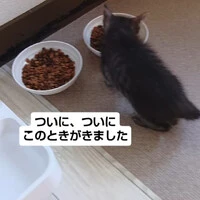 画像1591