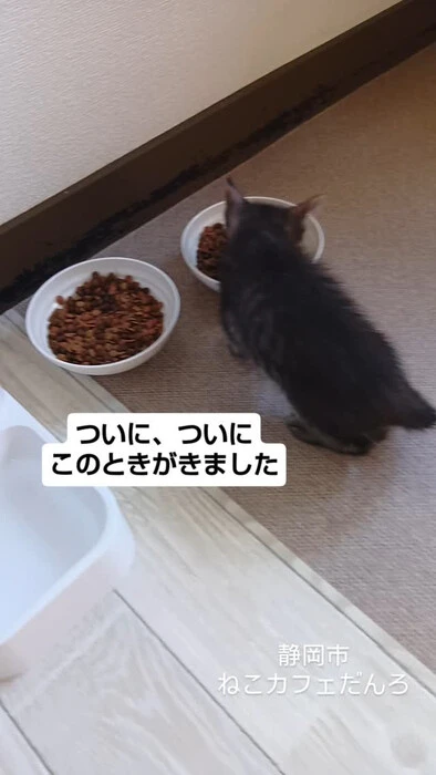 画像1591