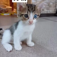 画像1593