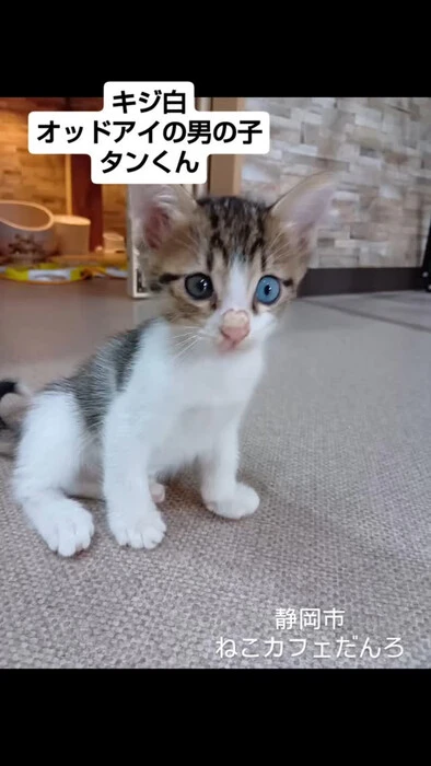 画像1593
