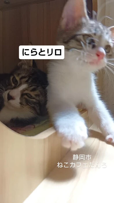 画像1595