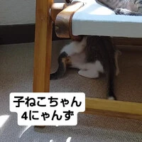 画像1599