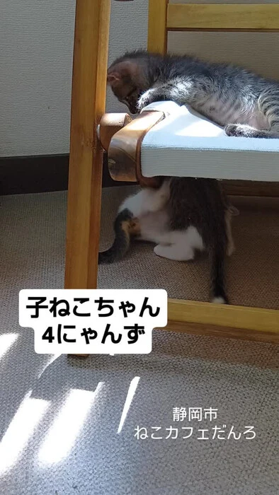 画像1599