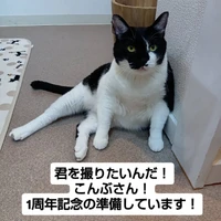 画像1603