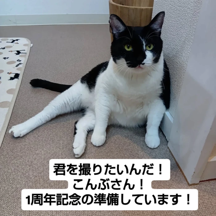 画像1603