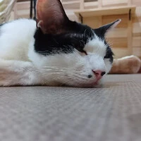 画像1612
