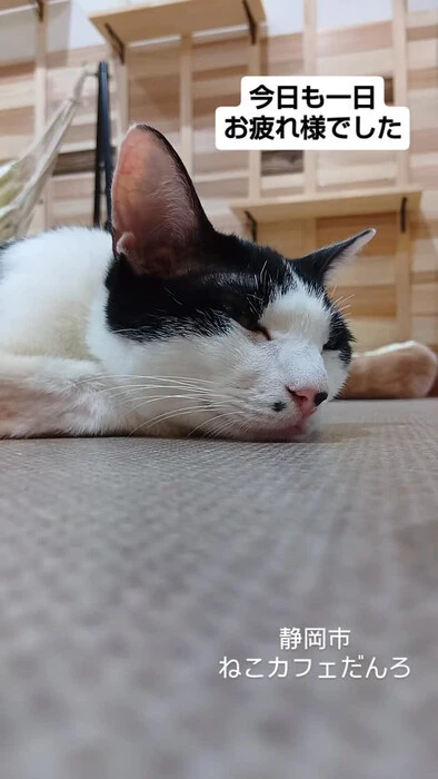 画像1612