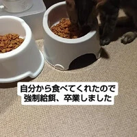 画像1614