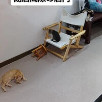 画像1626