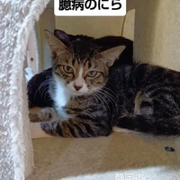 画像1628