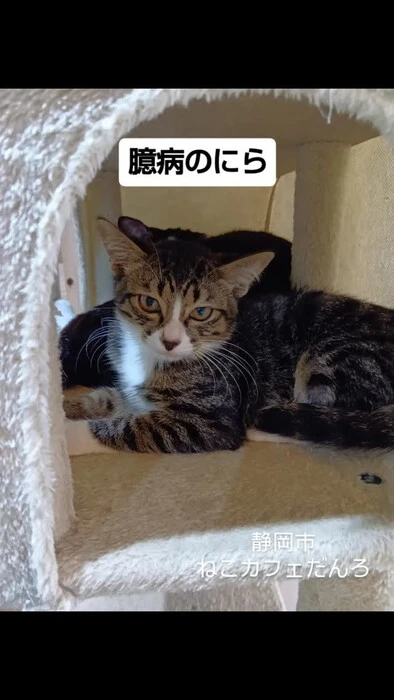 画像1628