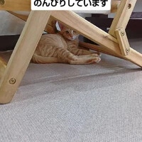 画像1630