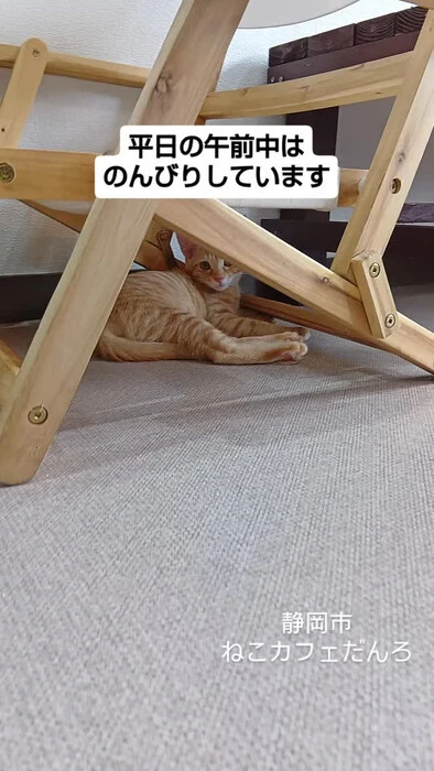 画像1630
