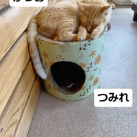画像1633