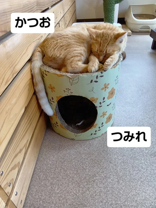 画像1633