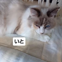 画像1634