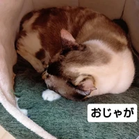 画像1635
