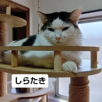 画像1636
