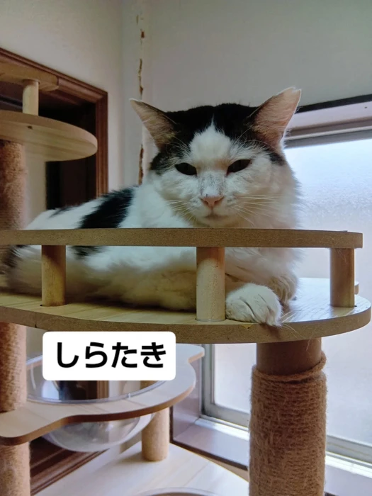 画像1636