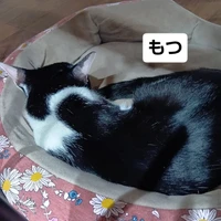 画像1637