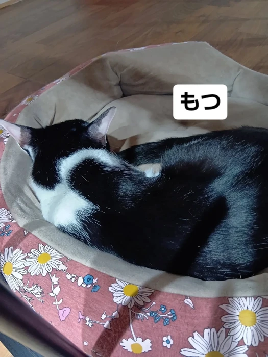 画像1637