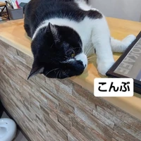 画像1638
